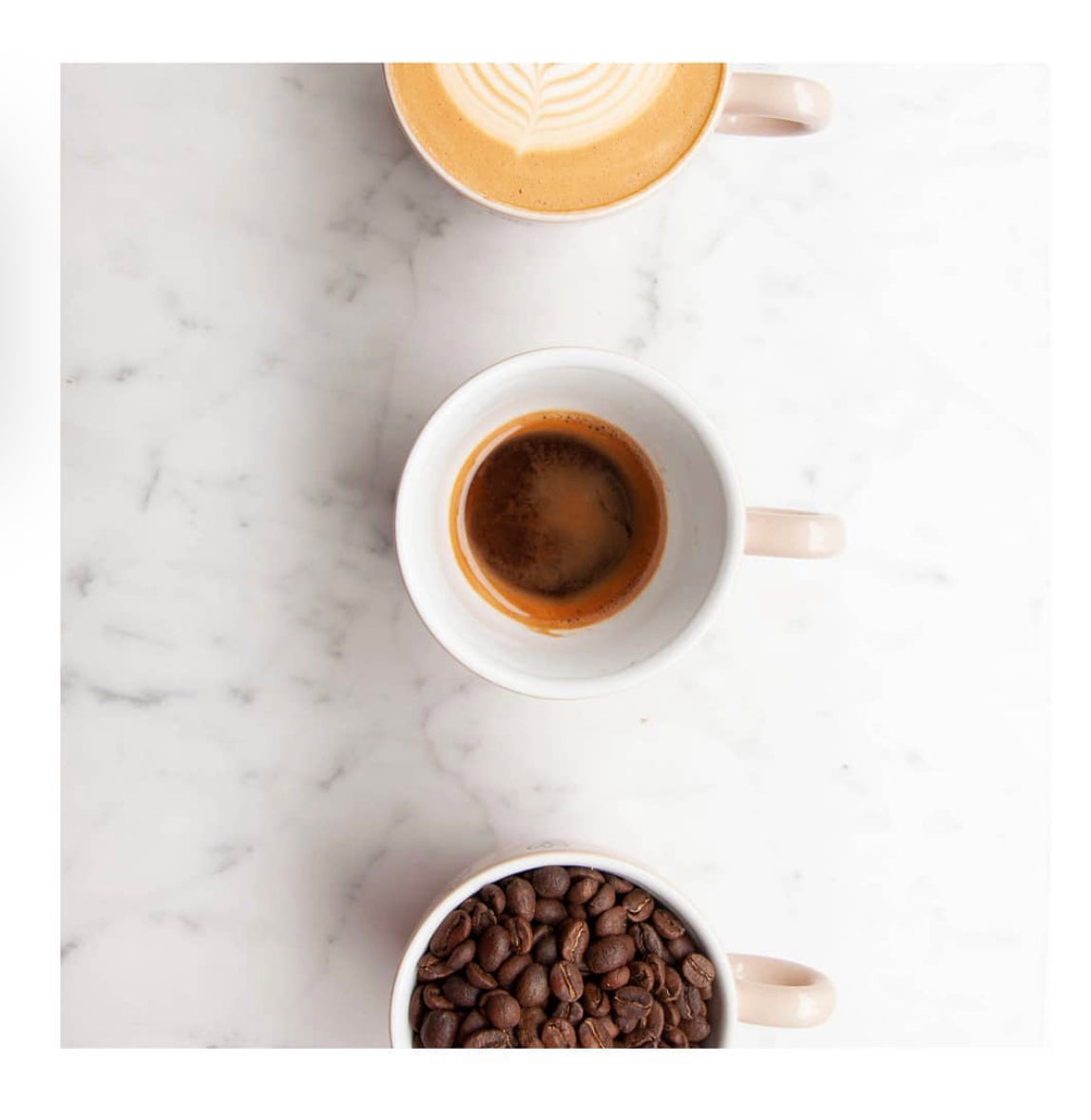 Milk, Latte Art and Pouring - Masterclass