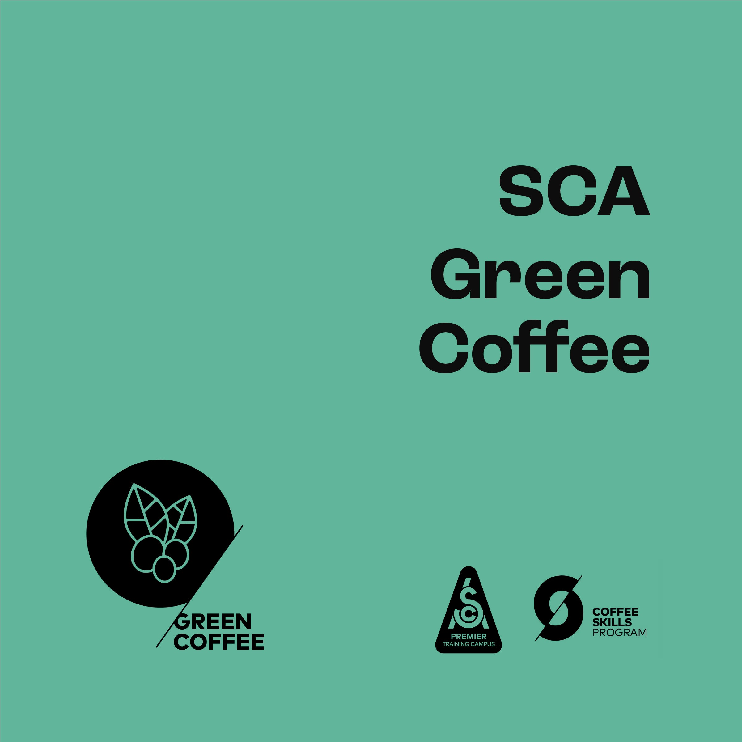 SCA Green Coffee - Foundation