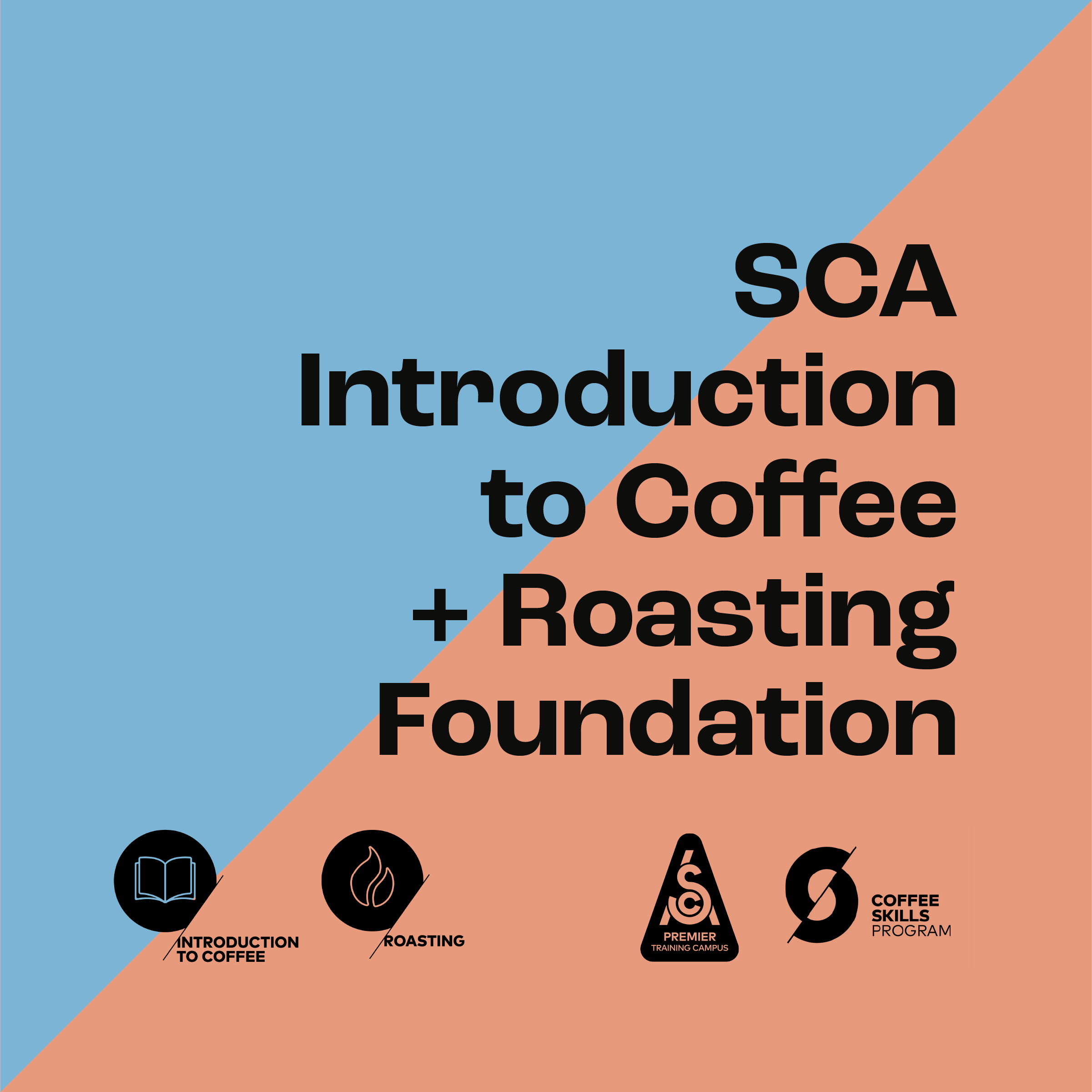 SCA Introduction To Coffee & Roasting - Foundation | Beantale Coffee