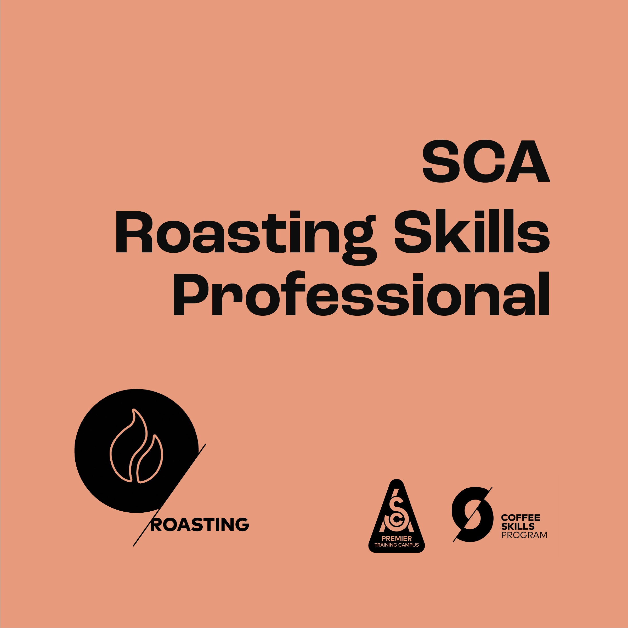 SCA Roasting - Professional