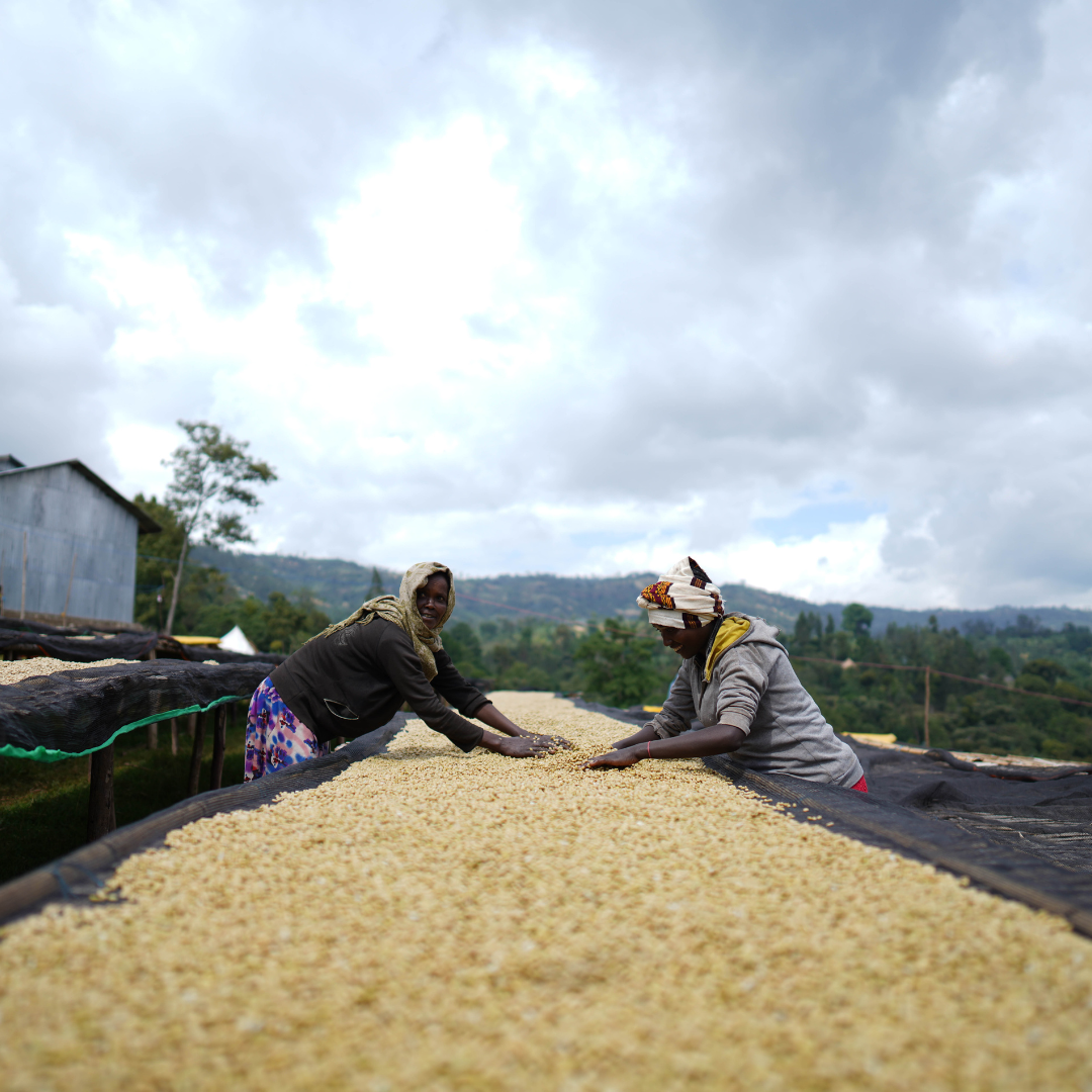 Rumudamu, Ethiopia