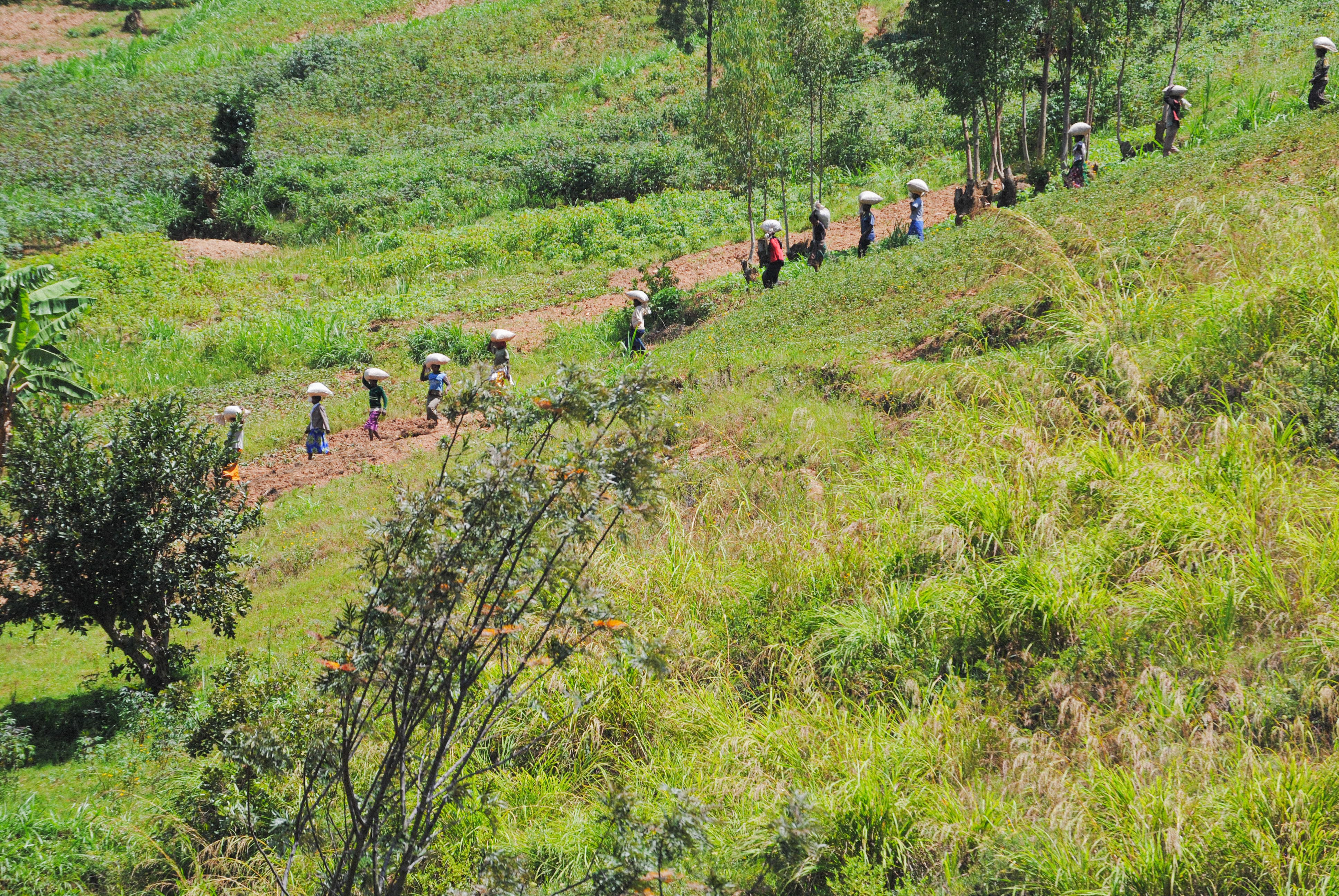 Musozi-Mugonero, Rwanda