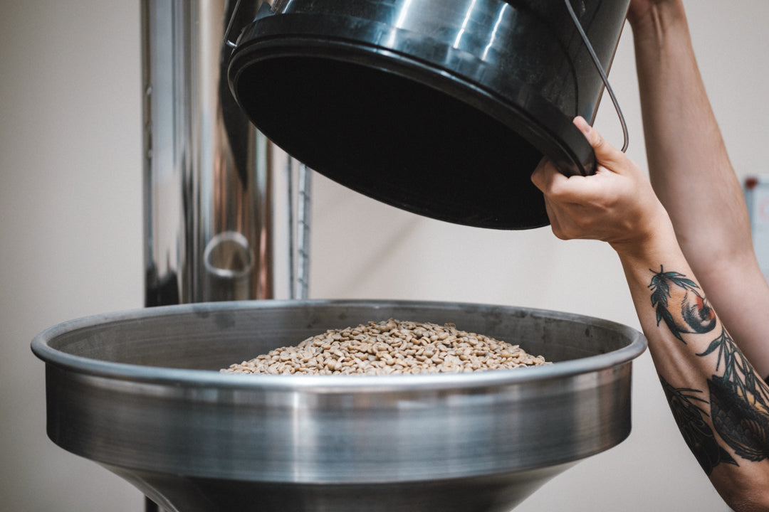 Coffee Roasting Essentials - Masterclass