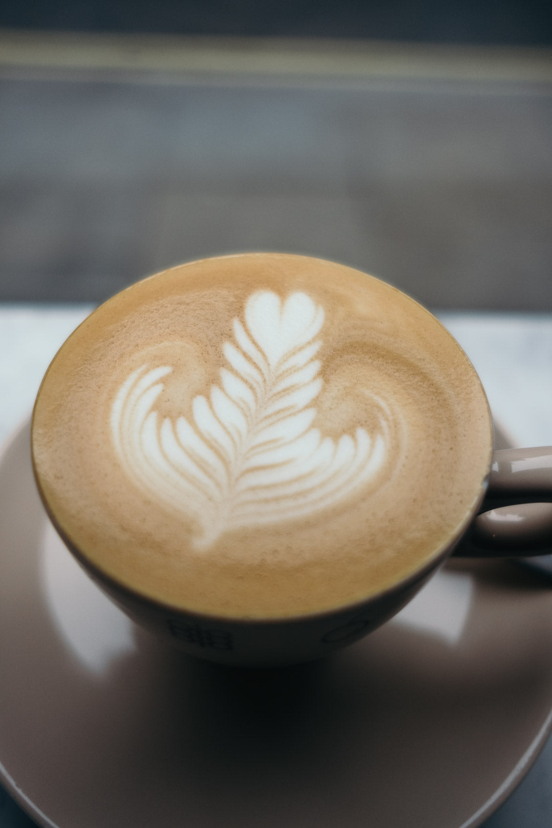 Milk, Latte Art and Pouring - Masterclass