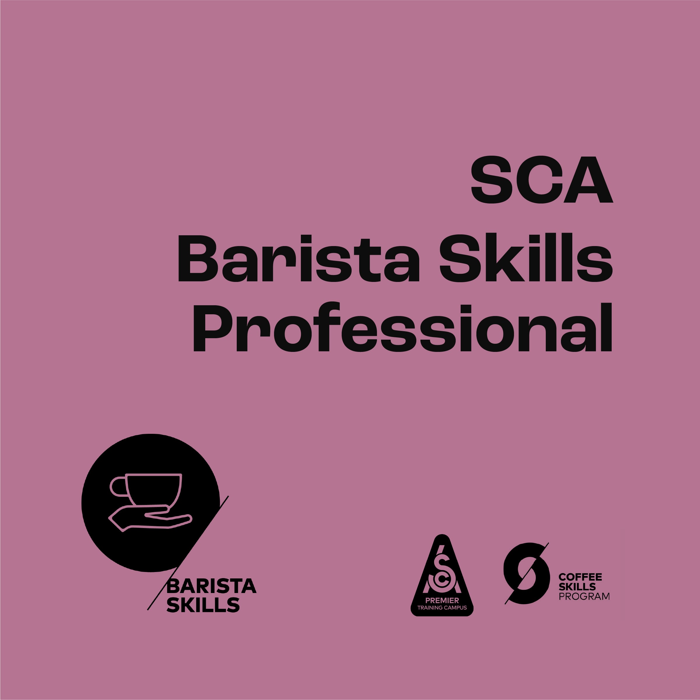 SCA Barista Skills - Professional