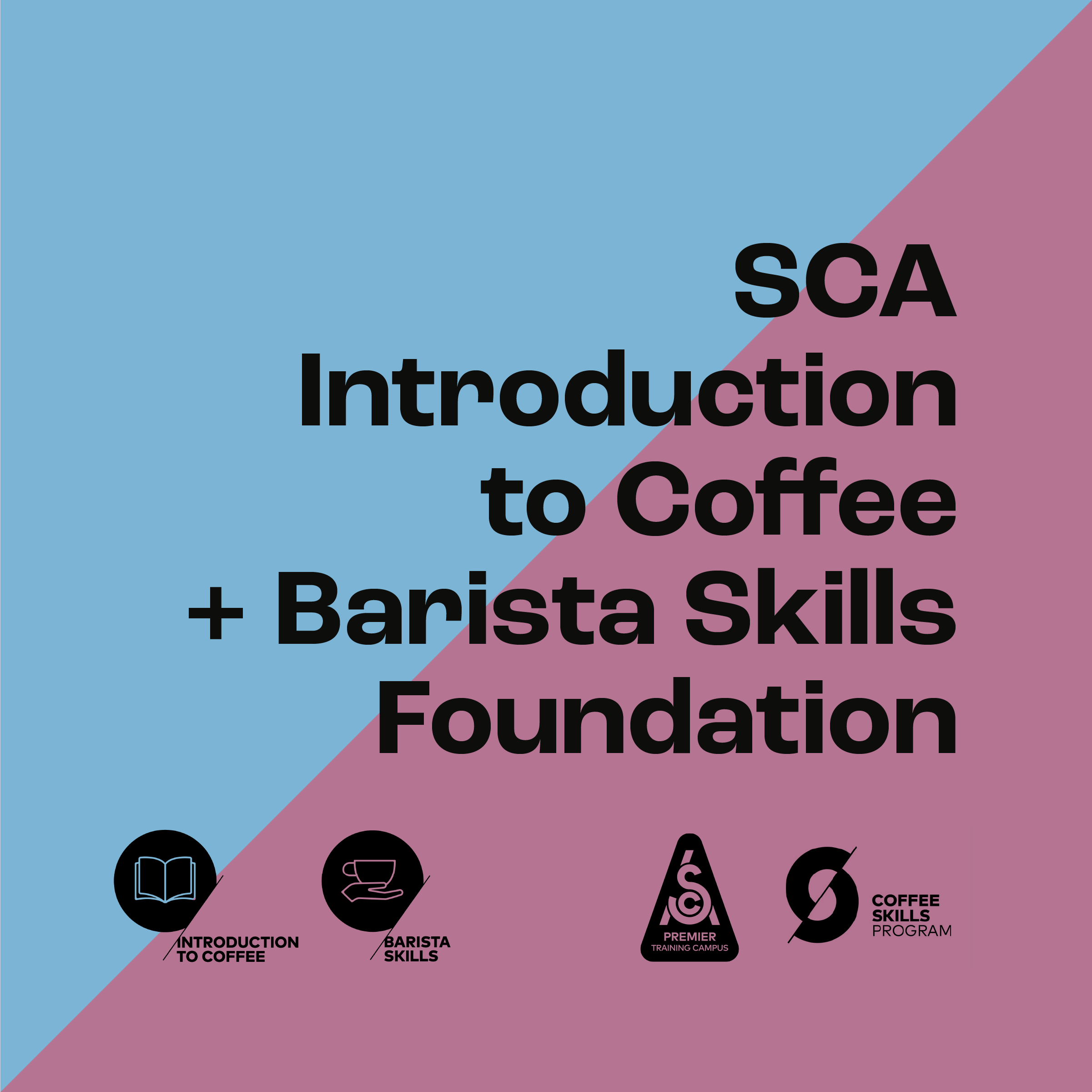 SCA Introduction to Coffee + Barista Skills Foundation