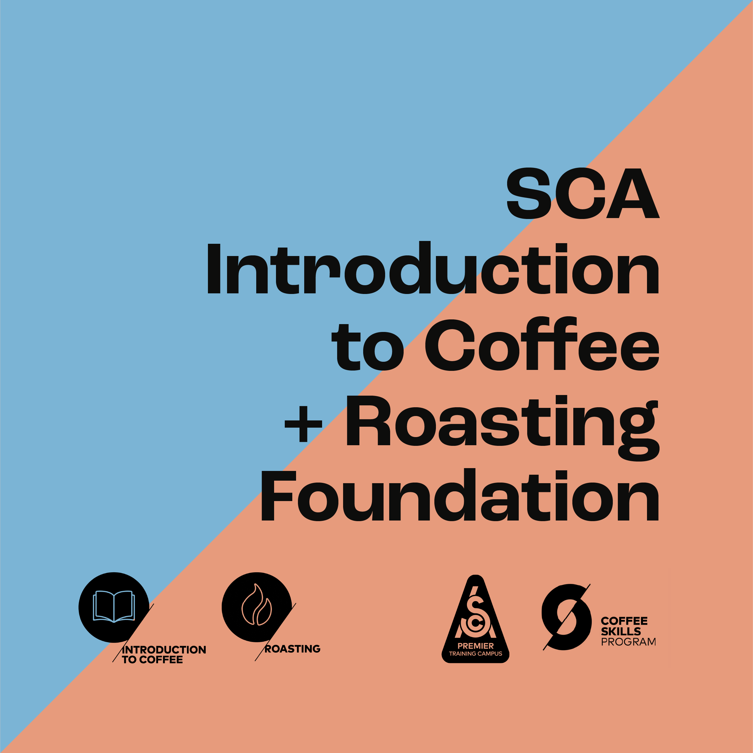 SCA Introduction to Coffee + Roasting Foundation