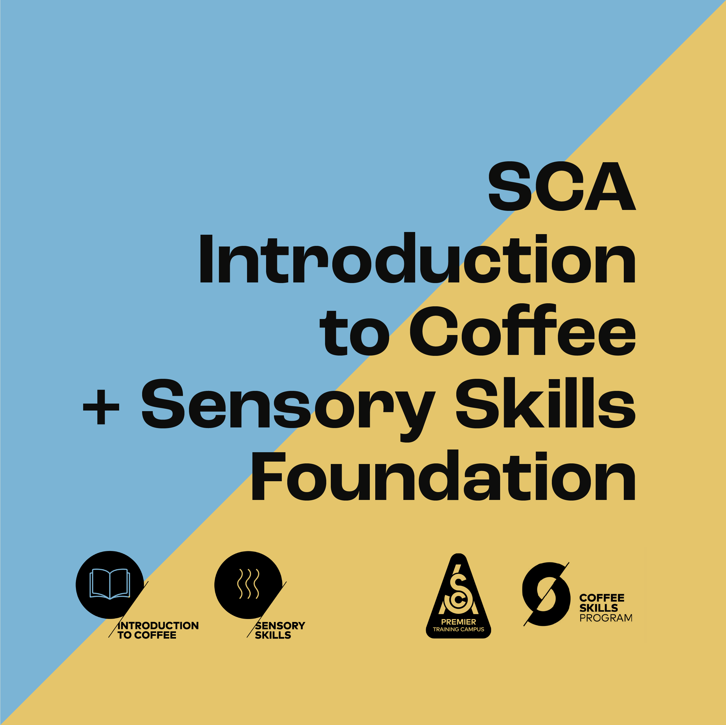 SCA Introduction To Coffee & Sensory Skills - Foundation | Beantale Coffee