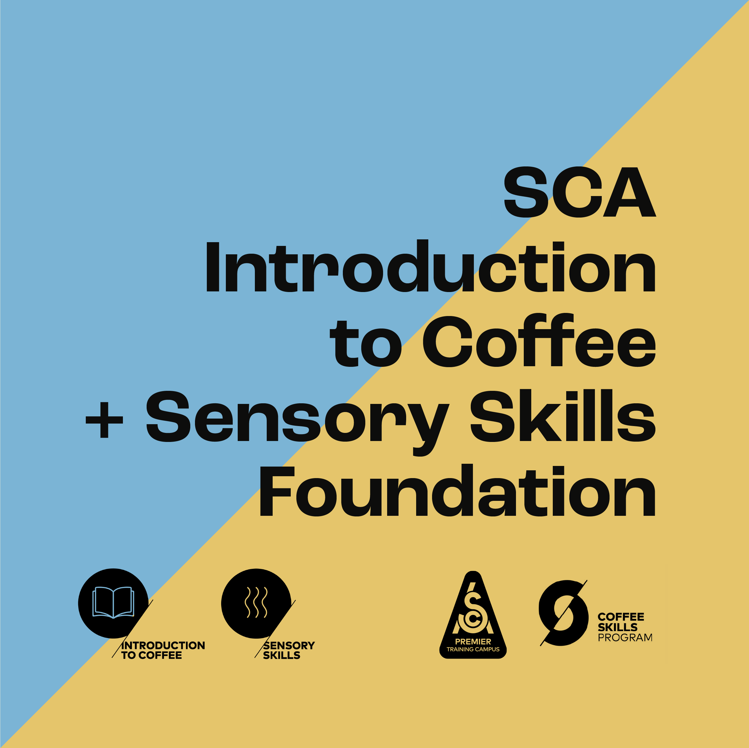 SCA Introduction to Coffee + Sensory Skills Foundation