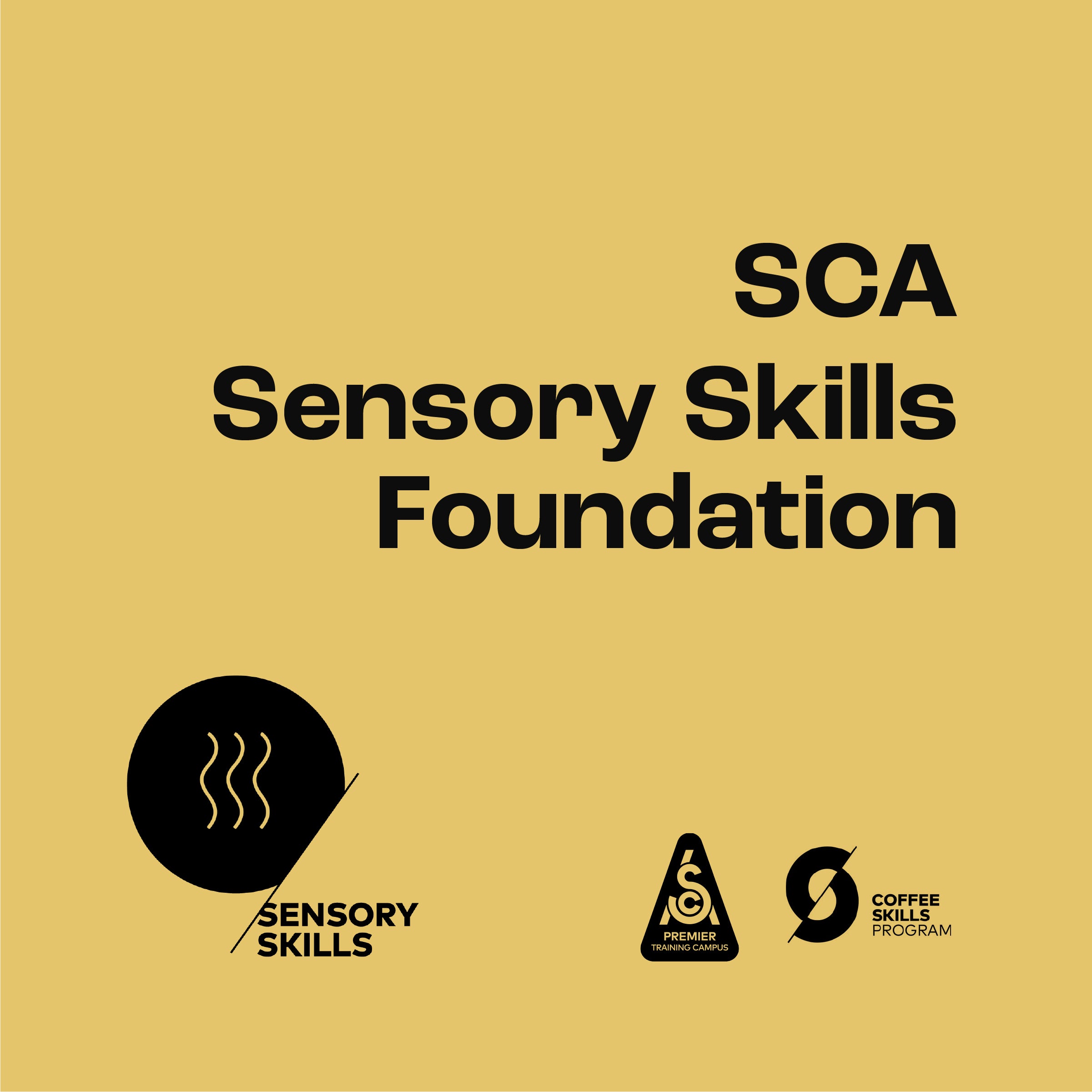 SCA Sensory Skills - Foundation