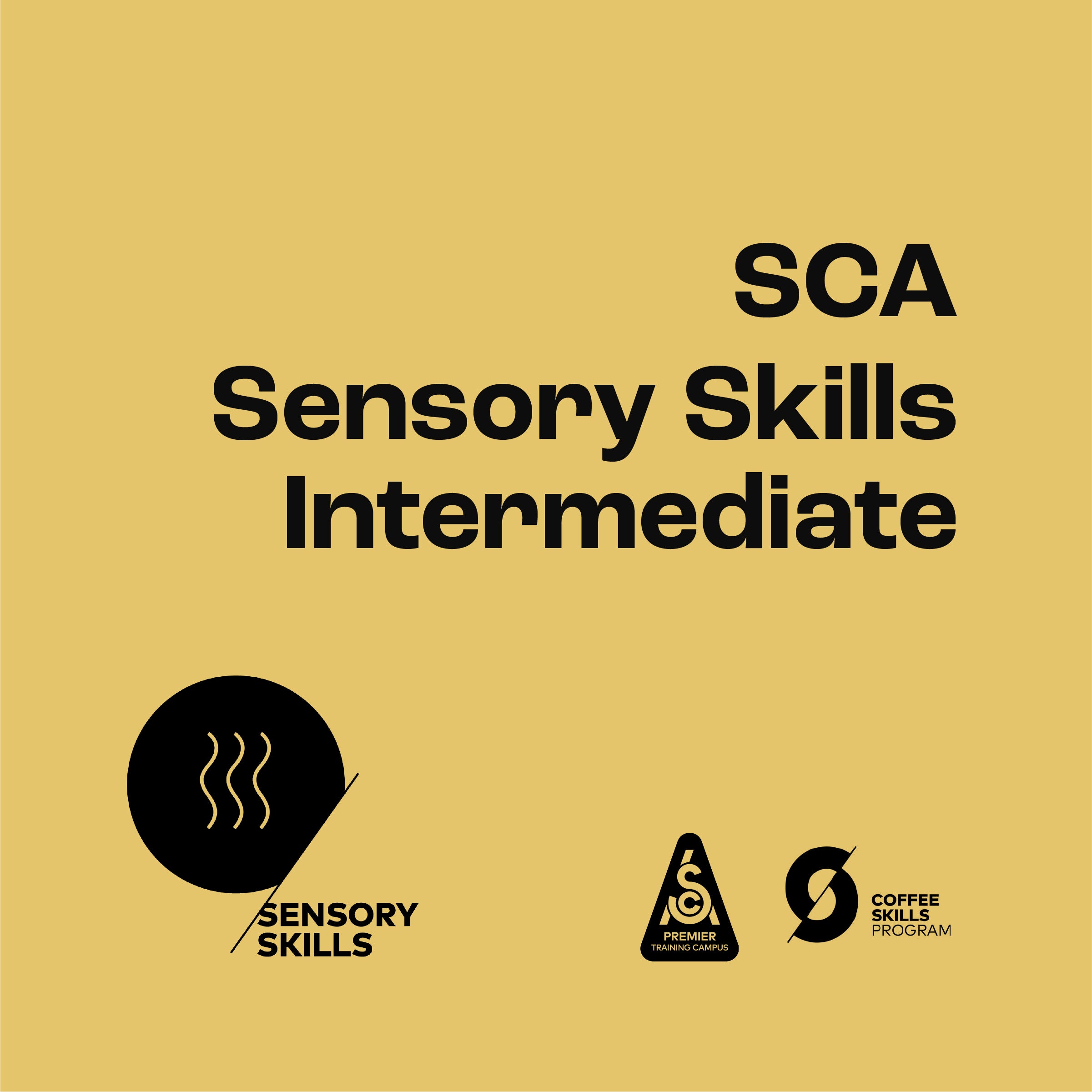 SCA Sensory Skills - Intermediate